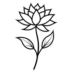 centaurea gym nocarpa line art on white backgorund