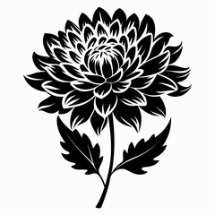 chrysanthemum manito silhouette on white background