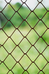 Old wire mesh fence for web design and architect, Green garden behind wire mesh fence that is linked together. Close up. Vertical.