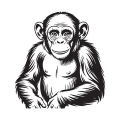 Chimpanzee Illustration Black and White