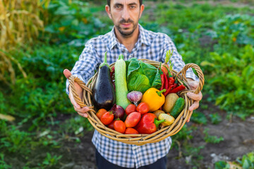 Fototapeta premium A male farmer with vegetables in his garden. Selective focus.
