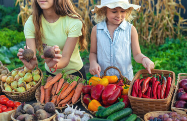 A child at a farmers market with vegetables. Selective focus.