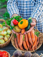 A farmer at a farmers' market with vegetables. Selective focus.