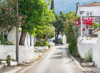 street crossing a grrek village  in Peloponnese with white and flowery fronts of houses
