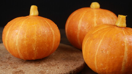 Fresh three of pumpkins on a black background. Autumn harvest
