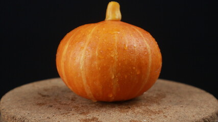 Close up of pumpkins on a black background. copy space