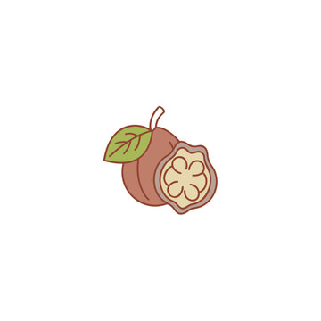 A-peumo-fruits-icon-colored-outline-art-Vector Illustration