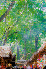 Sunlight shines through the leaves, creating soft shadows.