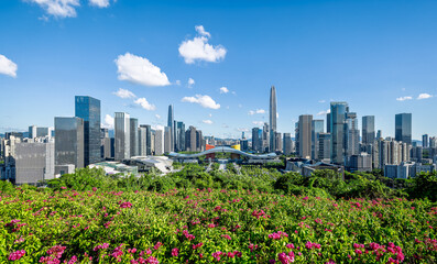 Naklejka premium Modern city skyline with skyscrapers and vibrant green park and flowers in Shenzhen.
