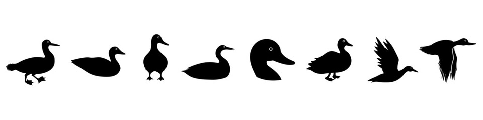 Loon icon vector set. Duck Illustration sign collection. bird symbol. fowl logo.