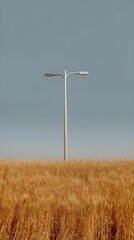 street lamp in wheat field