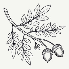 Branch with acorns and leaves © AG