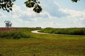 A Local lifestyle on a country road during a sunny day in Thailand
