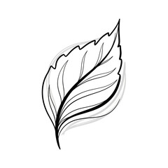 A simple black and white line drawing of a single leaf.