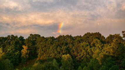 Rainbow over a forest with clouds.