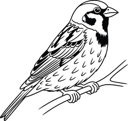 Detailed illustration of a sparrow perched on a branch on transparent background
