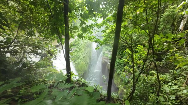 Cascada alto chorro Bocas Del Toro