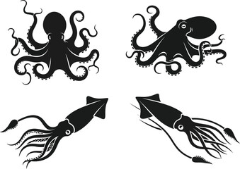 Black octopus and squid illustrations marine life vector graphics on transparent background © FAM