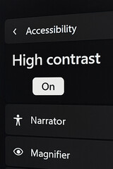 Accessibility setting for UI concept of vision enhancement.