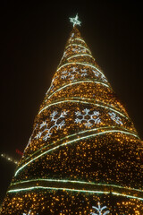 w Gliwicach choinka przed dworcem pkp © rob