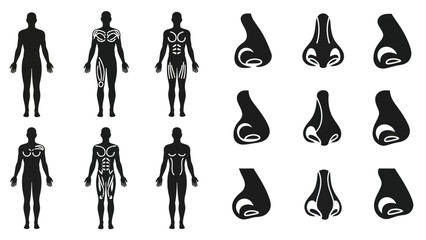 Human anatomy illustrations showing silhouettes of body and facial features