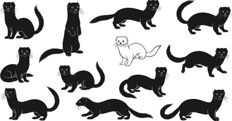 Mink Ferret Silhouettes Set, Weasel Poses, Mustelid Vector Collection, Wild Animal Outlines, Nature Profiles
