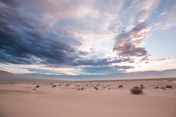Sand dunes in California