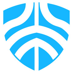 Premium Car Protection Shield Logo