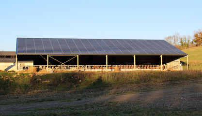 Panneaux solaires sur hangar agricole © CURIOS