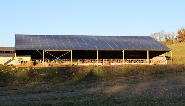Panneaux solaires sur hangar agricole