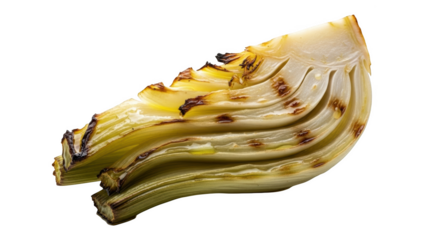 Grilled Fennel Wedge With Browned Edges on Black Background vegetable food