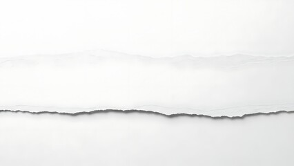 Obraz premium Torn paper edge with white background
