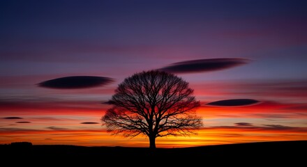 Obraz premium Lone tree silhouette against dramatic sunset sky with streaking clouds