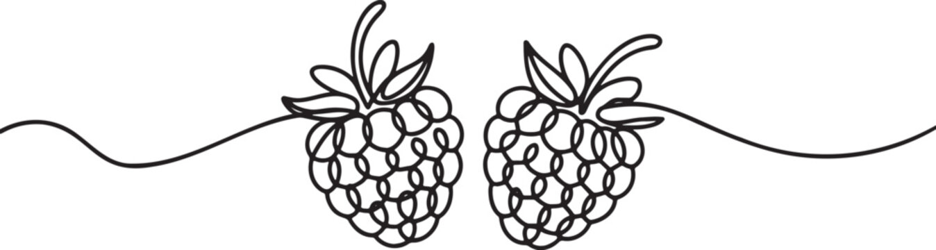 Two raspberries in continuous line drawing with trailing vine element on transparent background