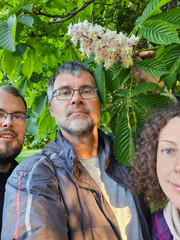 Man with glasses is standing in front of a tree chestnut with a woman and another man. The man with glasses is taking a picture of the group family - mother, father and son