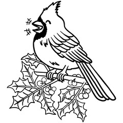 red cardinal bird laughing on snow holly branch with berries line outline doodle hand-drawn