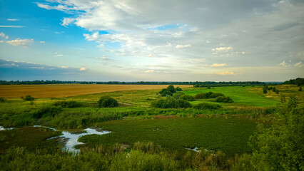 Hills with meadows and forests.