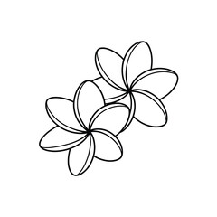 Simple outline illustration of three plumeria flowers on a white background