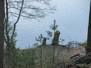 foggy autumn lake in a National Park in the Smolensk Region, Russia