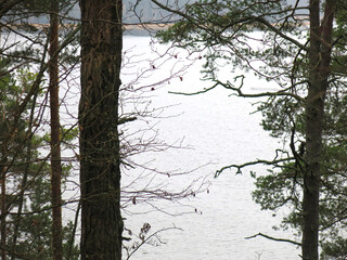 foggy autumn lake in a National Park in the Smolensk Region, Russia