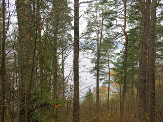 foggy autumn lake in a National Park in the Smolensk Region, Russia