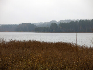 foggy autumn lake in a National Park in the Smolensk Region, Russia