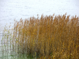 foggy autumn lake in a National Park in the Smolensk Region, Russia