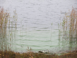 foggy autumn lake in a National Park in the Smolensk Region, Russia