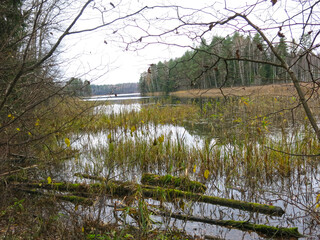foggy autumn lake in a National Park in the Smolensk Region, Russia
