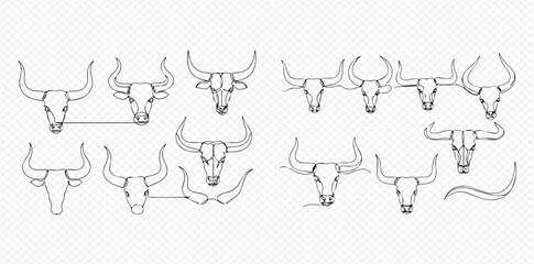 Set of various bull and buffalo skulls with horns in line art style.