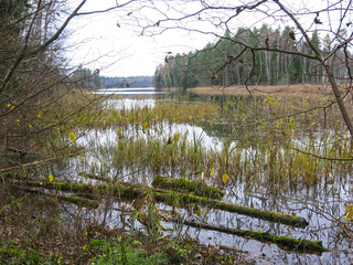 foggy autumn lake in a National Park in the Smolensk Region, Russia