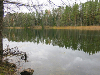 foggy autumn lake in a National Park in the Smolensk Region, Russia