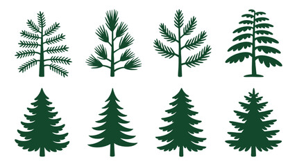 Collection of pine tree illustrations Vector