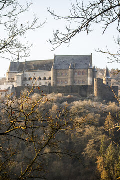 View of an imposing medieval castle perched atop a hill, framed by the delicate tracery of bare winter branches against a soft, diffused light, Vianden, Luxembourg.
